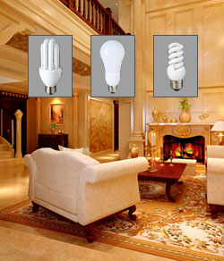 View all compact fluorescent bulbs
