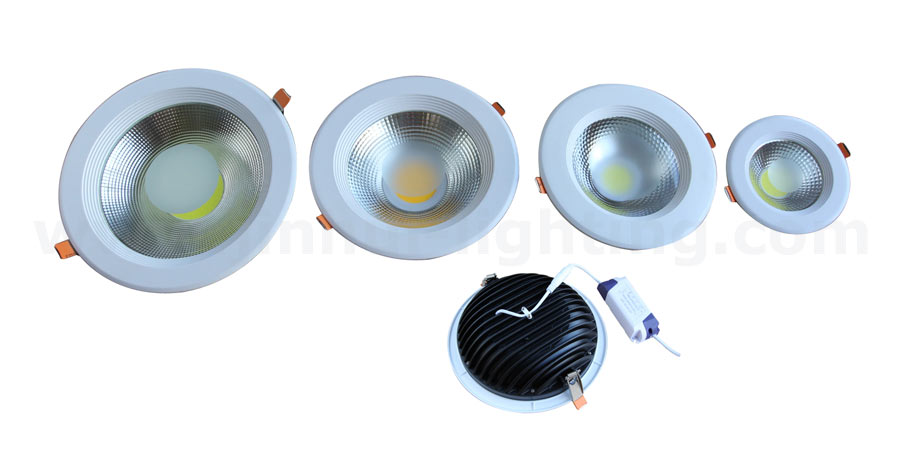 picture (image) of led-down-light.jpg